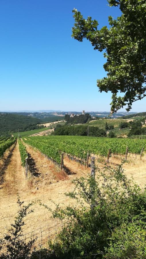 Chianti Craft House Badia A Passignano Apartment Badia A Passigano ภายนอก รูปภาพ
